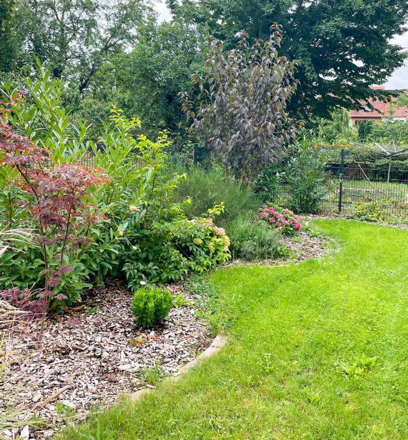 Ferienwohnung Kamrath Mit Wunderschoenem Ausblick Neuruppin Exterior foto